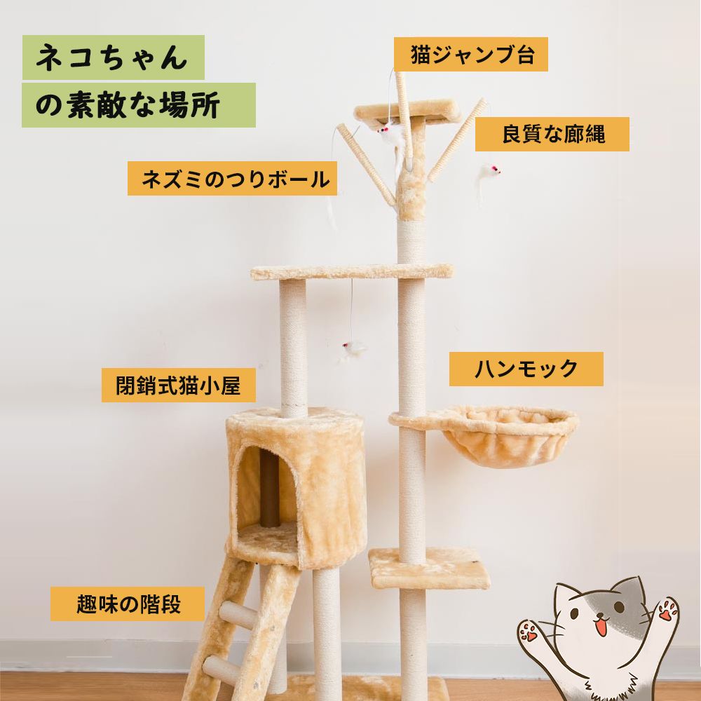 階段 多頭