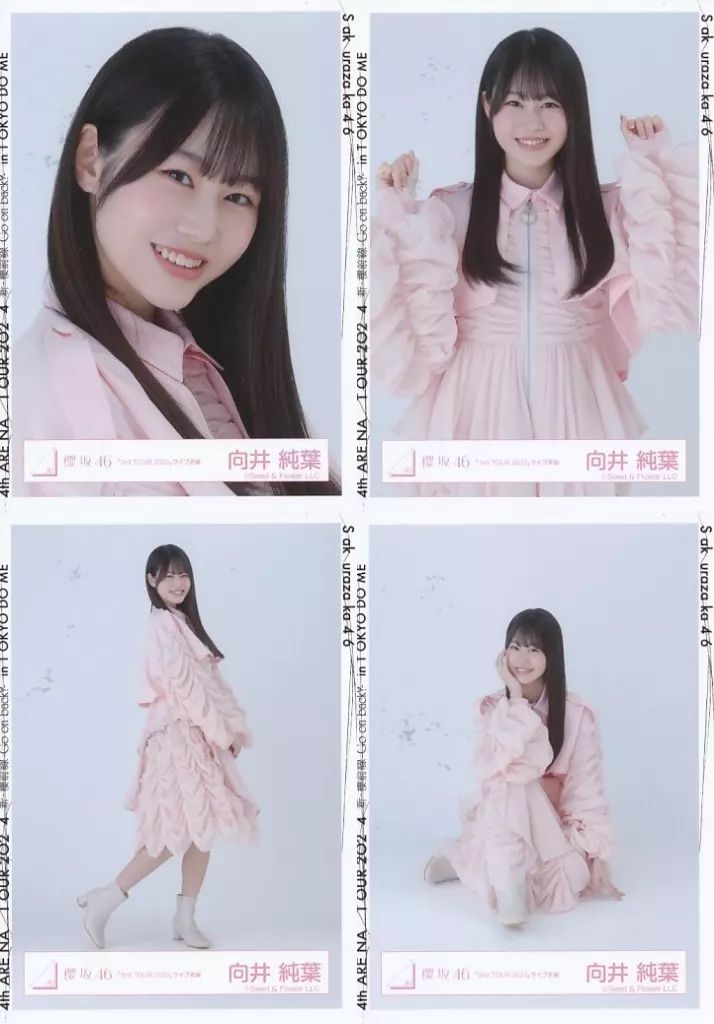 中古】生写真(乃木坂46) ◇向井純葉/櫻坂46ランダム生写真【「3rd TOUR