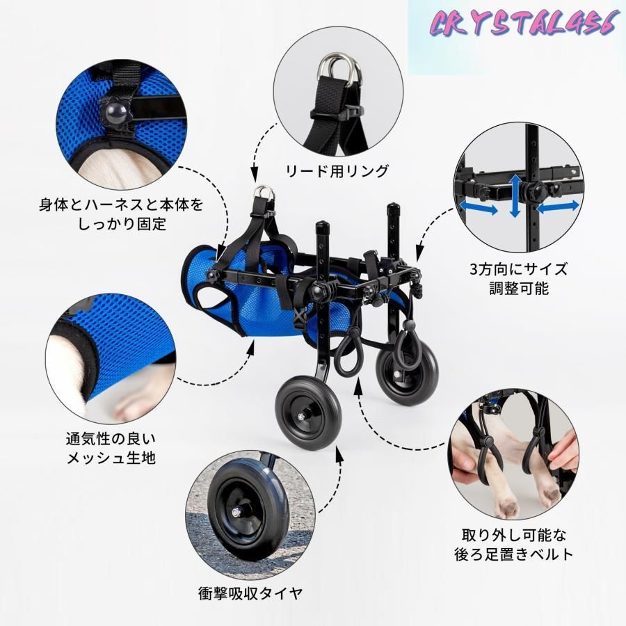 怪我