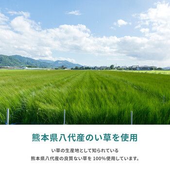 純国産上敷き 本間8畳