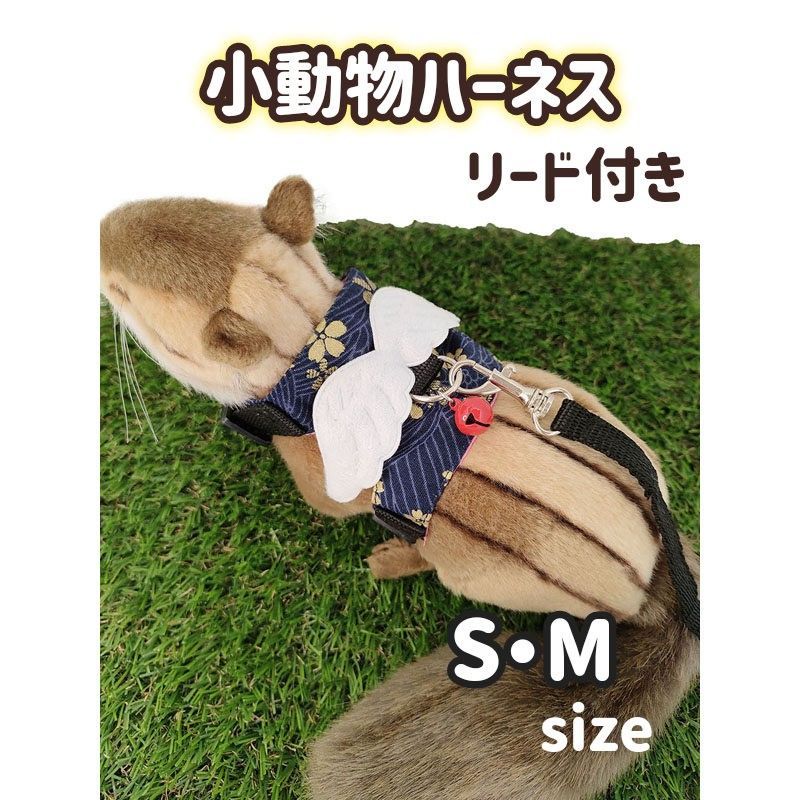 小動物ハーネス、パンツ ショウガラゴ、コモン、ミーア