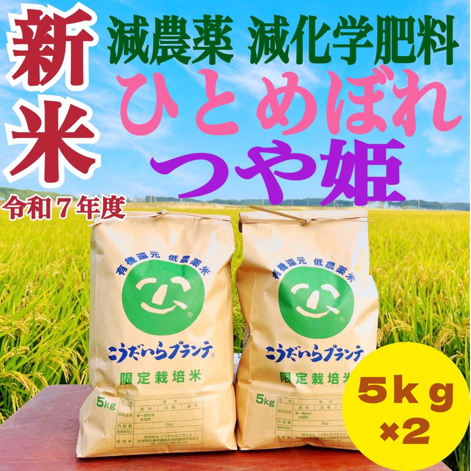 新米 令和７年度 農家直送 減農薬 ひめぼれ＆つや姫５ｋｇずつ食べ比べセット