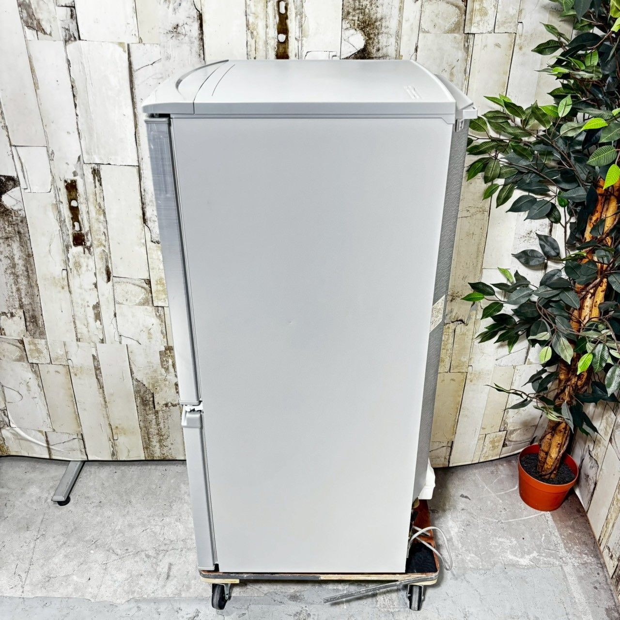 2019年製 SHARP シャープ SJ-D14E-S ノンフロン冷凍冷蔵庫 137L