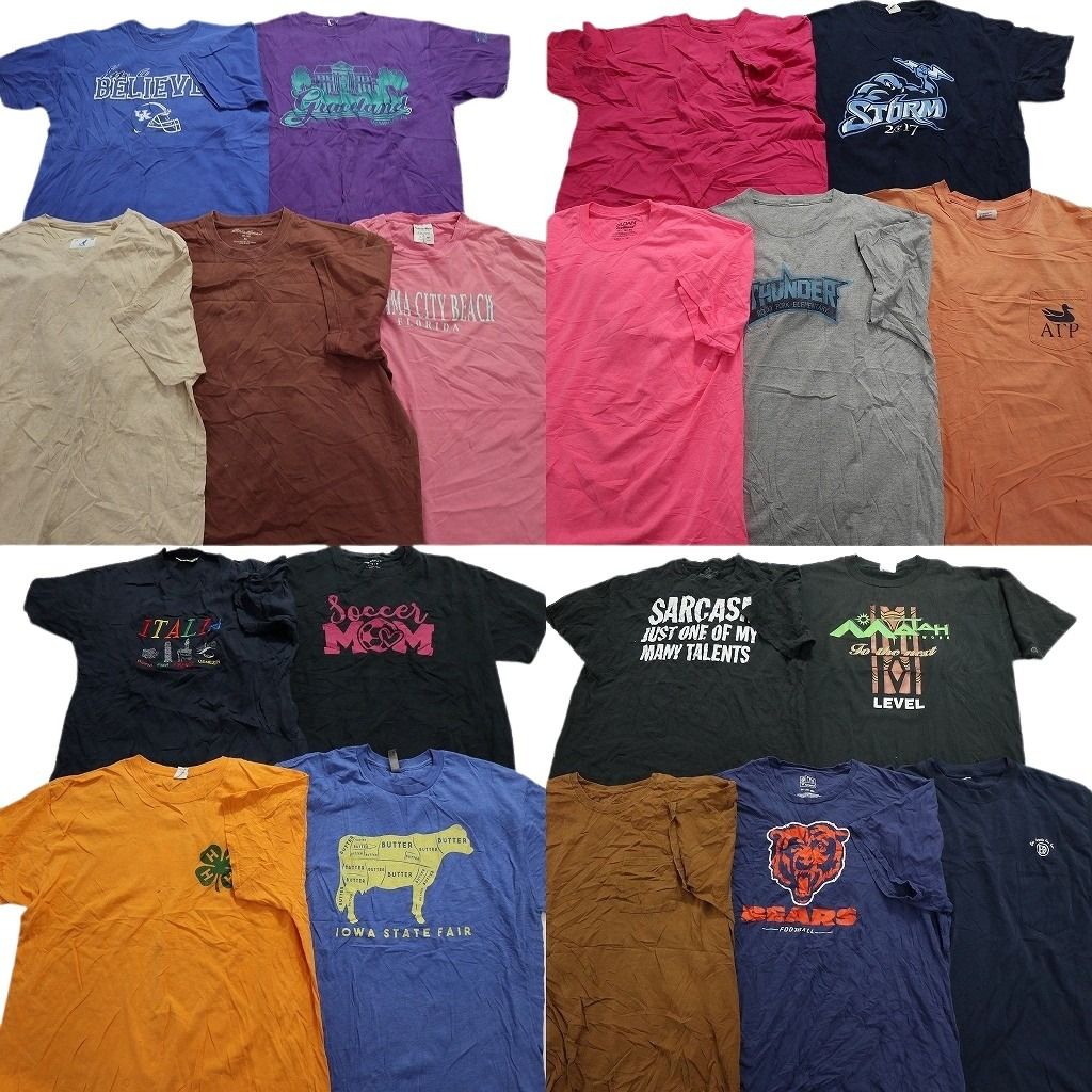 古着卸 まとめ売り カラーmix プリント 半袖Tシャツ 19枚セット (メンズ XL ) フロントプリント 無地系 MR3319