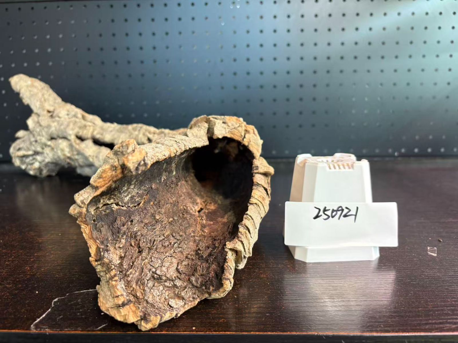 ポルトガル産 キャノンコルク