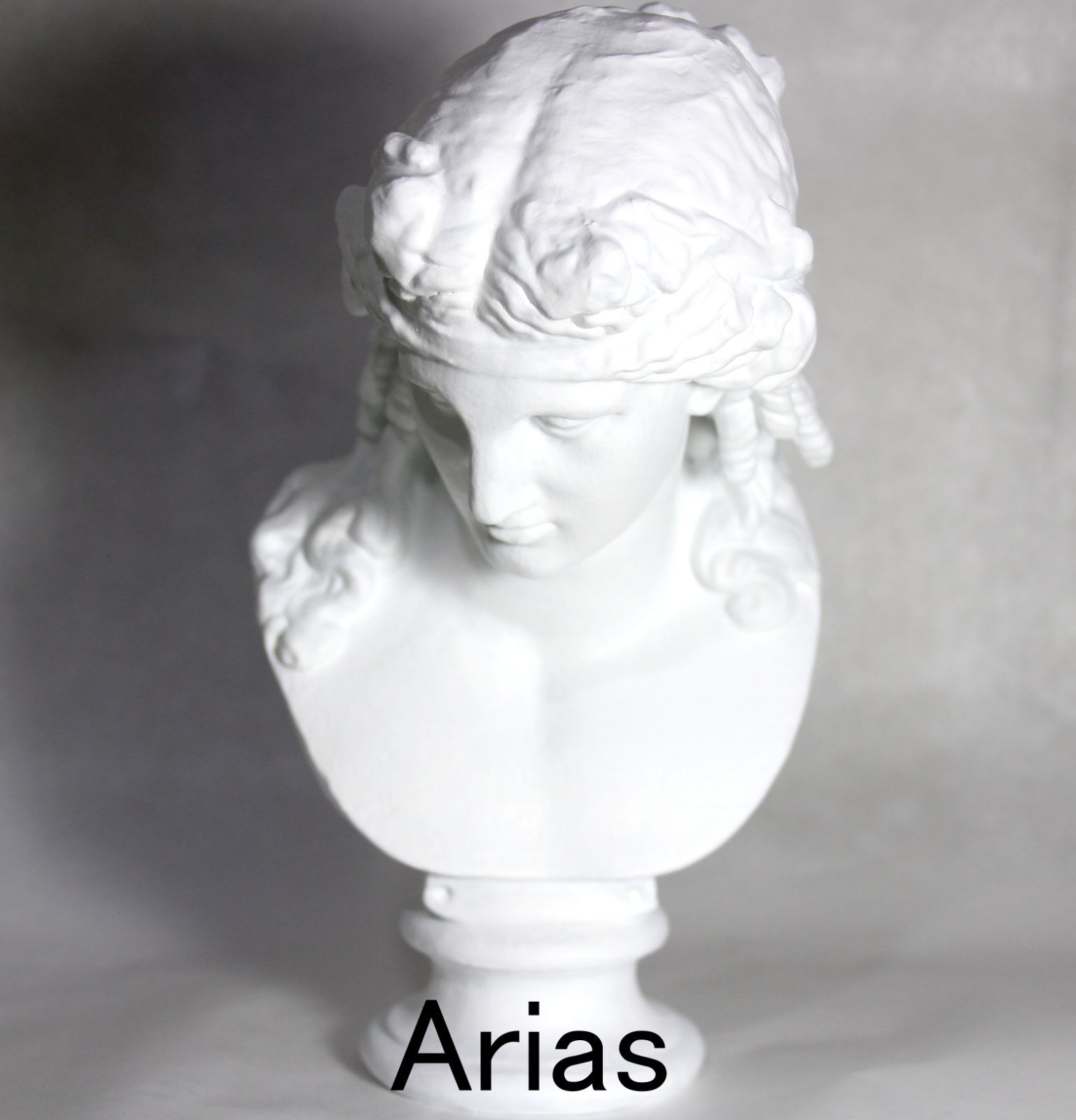 石膏像 デッサン アリアス ホワイト インテリア 彫刻 置物 レジン - 3D