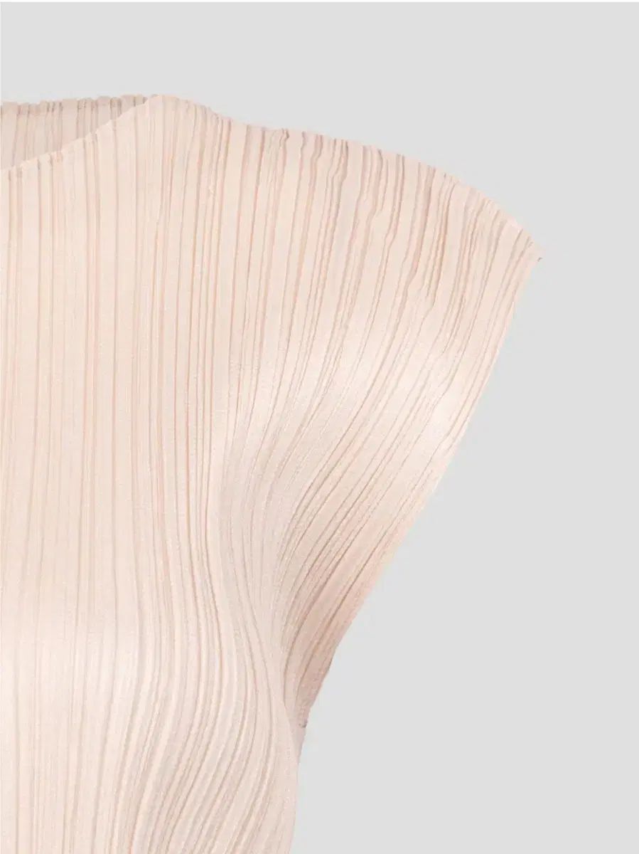 PLEATS PLEASE(プリーツプリーズ) ワンピース リフ ライト ベージュ 5  