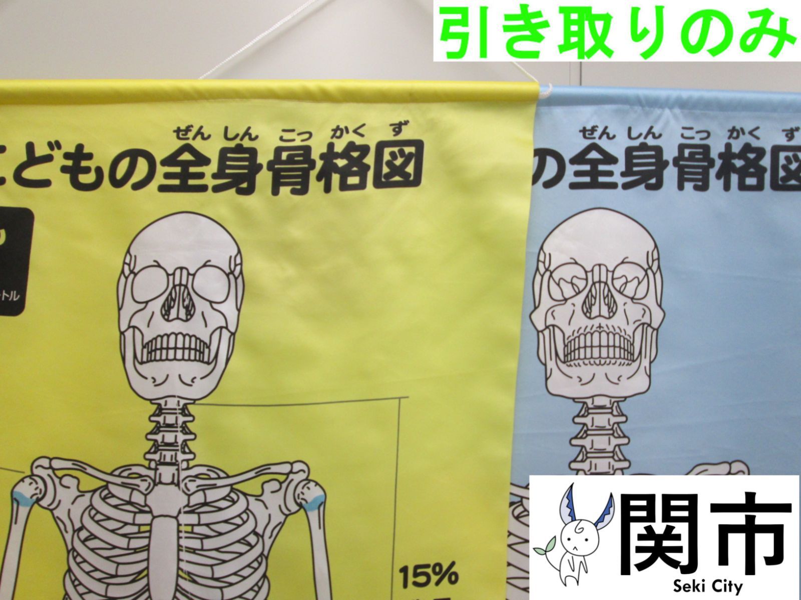 全身骨格図（おとな・こども）【現地引取のみ、配送不可】
