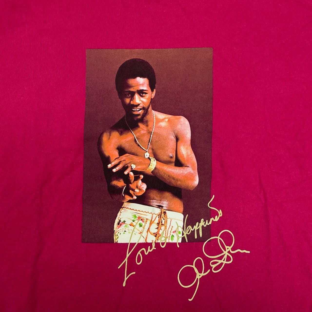 Supreme 22SS Al Green Tee アル グリーン Tシャツ フォト プリント 