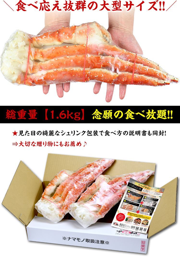 甲羅組