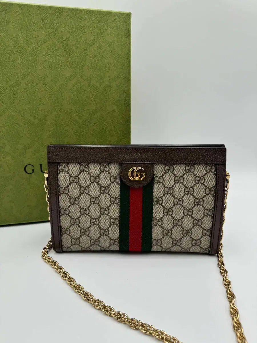 GUCCI グッチ Supreme シュプリーム オフィディア チェーンバッグ