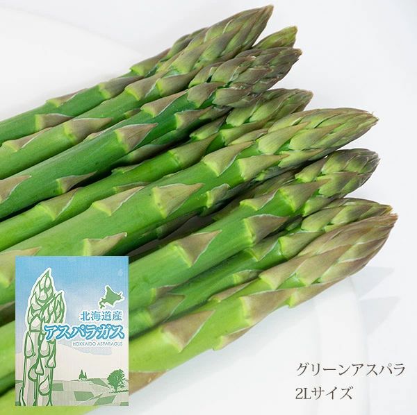 グリーンアスパラ 2Ｌサイズ 2kg 北海道 富良野 味が濃い 甘い 柔らかい 美味しい 美味 太 アスパラ 朝採れ 産地直送 アスパラ 生産者 生産数 クール便 なまらモグぱっく