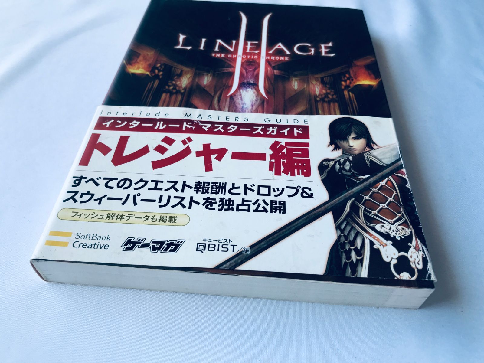 リネージュII 2 インタールード マスターズガイド トレジャー編