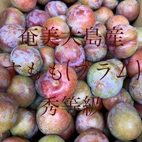 送料込】【秀等級】奄美特産 すもも(プラム) L 3kg 化粧箱入り - メルカリ