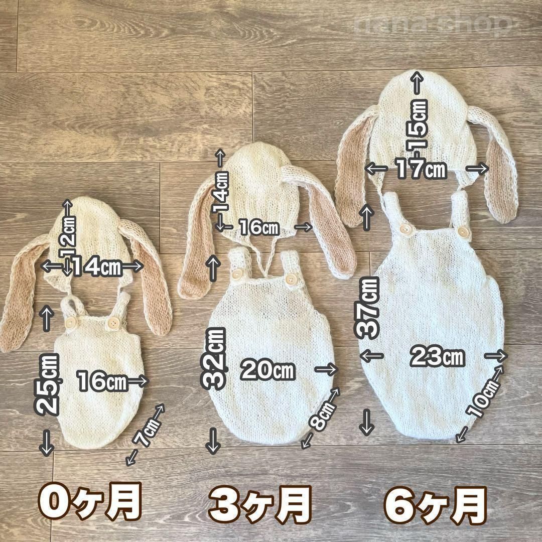 うさぎ×バスケット×かごセット♪ニューボーンフォト撮影 出産祝いギフト 月齢 STEELWINDOWSANDDOORS_COM