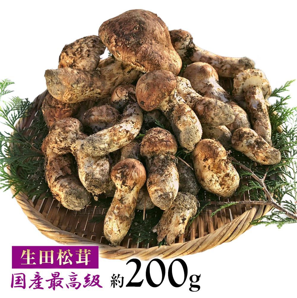 信州産♪松茸①専用ページ うき