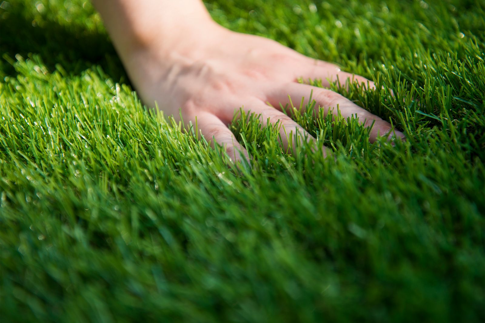 人工芝 ロール 2m×10m 芝丈20mm ピン42本つき 2色立体感 透水穴つき リアル ふかふか 高品質 高密度 色落ちにくい 抜けにくい 復元性 立体感 青緑 STEELWINDOWSANDDOORS_COM