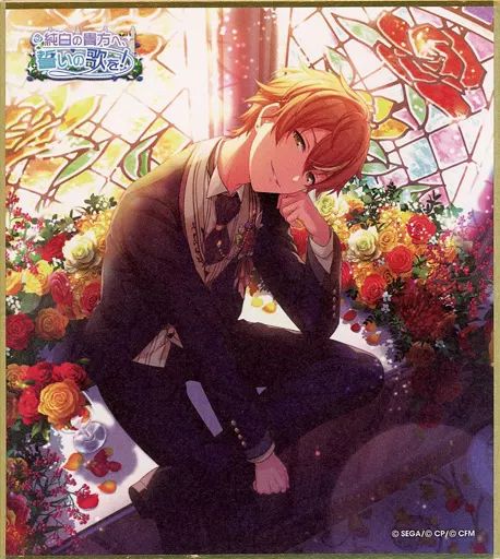 プロセカ ミニ色紙 22C 東雲彰人 月光 特訓後 プロセカ 東雲彰人 ミニ色紙コレクション 月光 - メルカリ