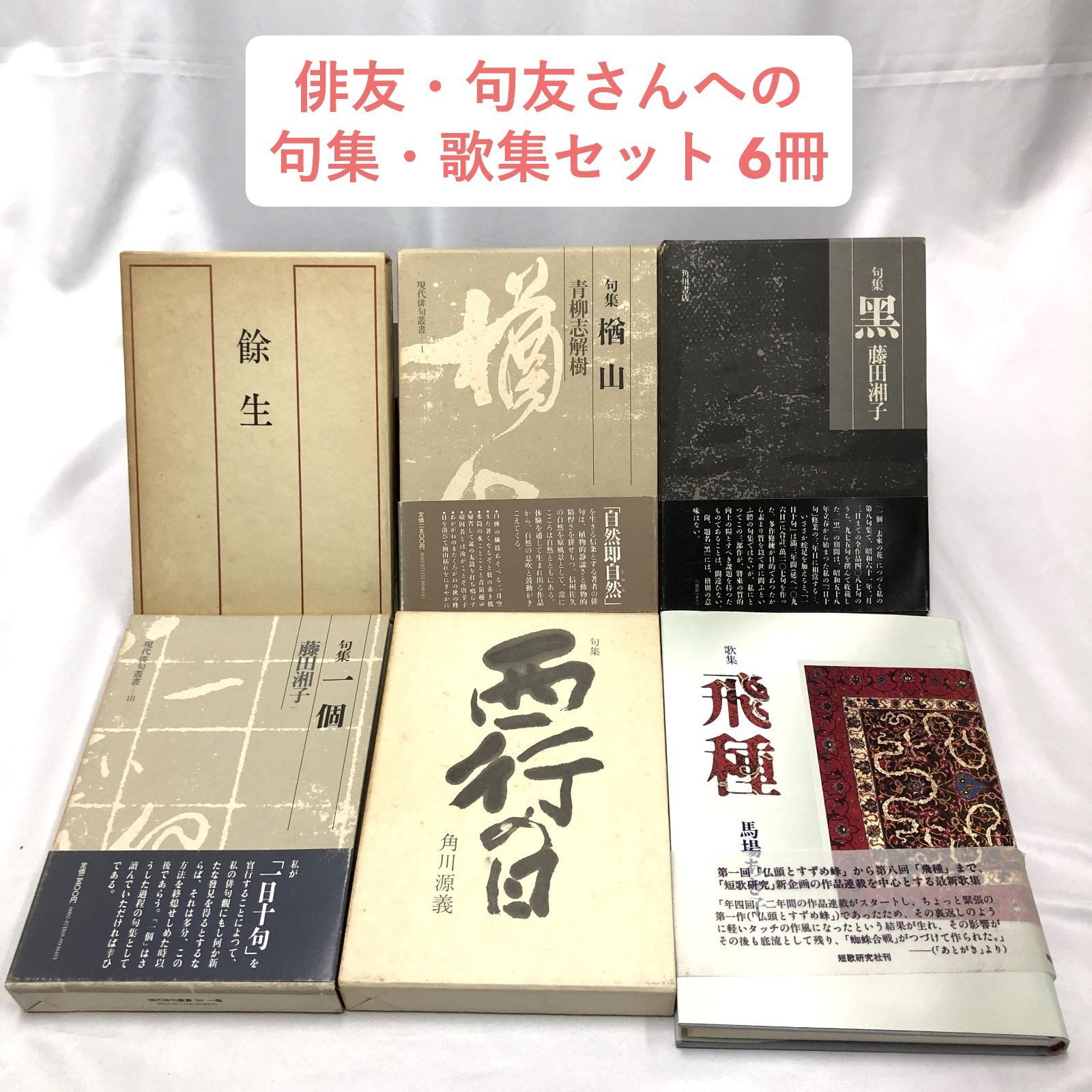 【美品】　藤田湘子全句集　俳句 藤田湘子全句集 索引付(藤田湘子 鷹俳句会 編) / 古本、中古本