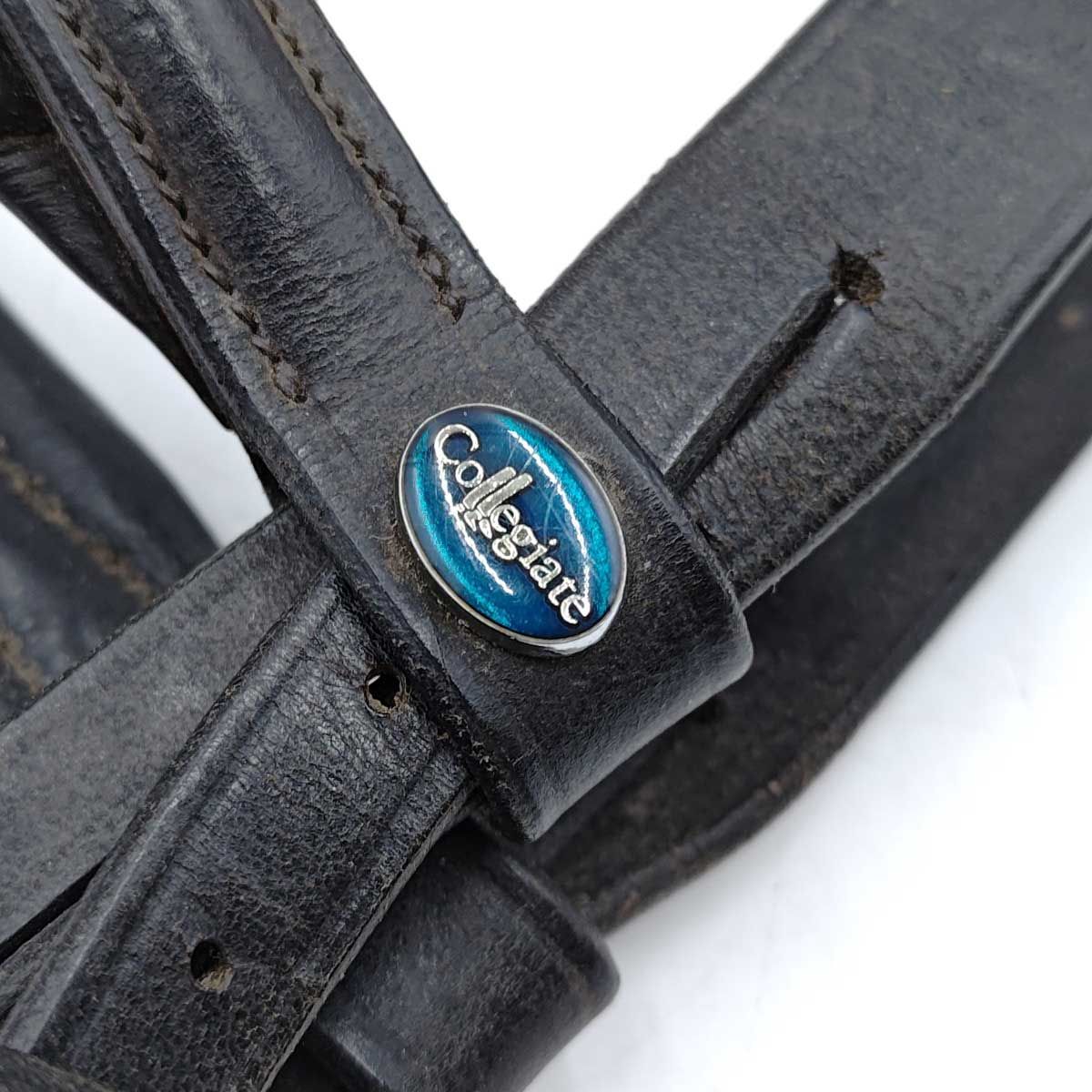 コレジエイト 頭絡