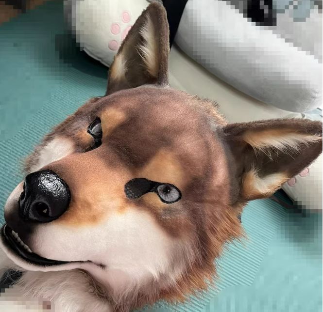 コスチューム