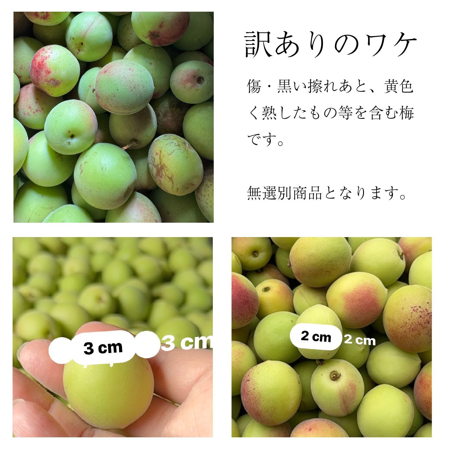 のサムネイル