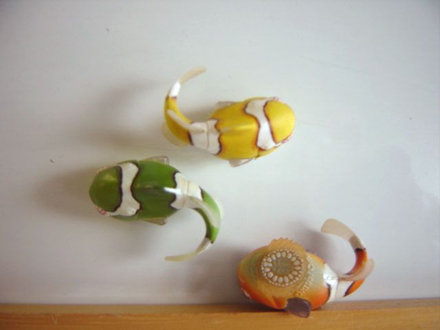 ♯Ivi06QtネイチャーMONOダンゴウオマグネットストラップ全16種 ダンゴウオ マグネット×ストラップ – ネイチャーテクニカラー公式