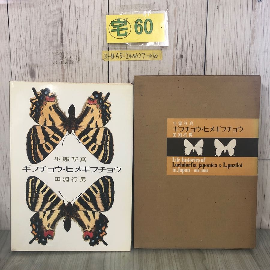 3-#生態写真 ギフチョウ・ヒメギフチョウ 田淵行男 講談社 1978年 昭和53年 函入 蔵書印・書き込み有 - メルカリ