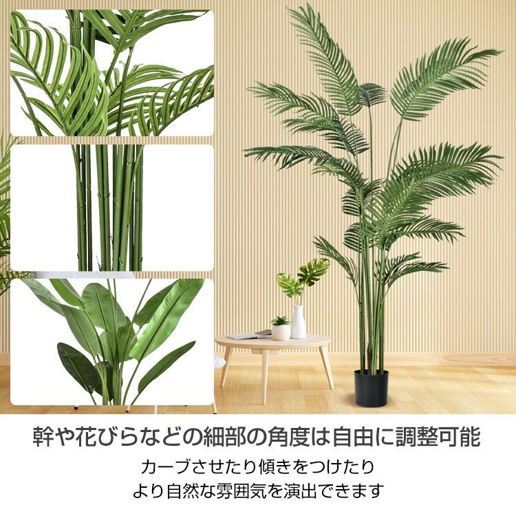 ♪鉢付き 観葉植物
