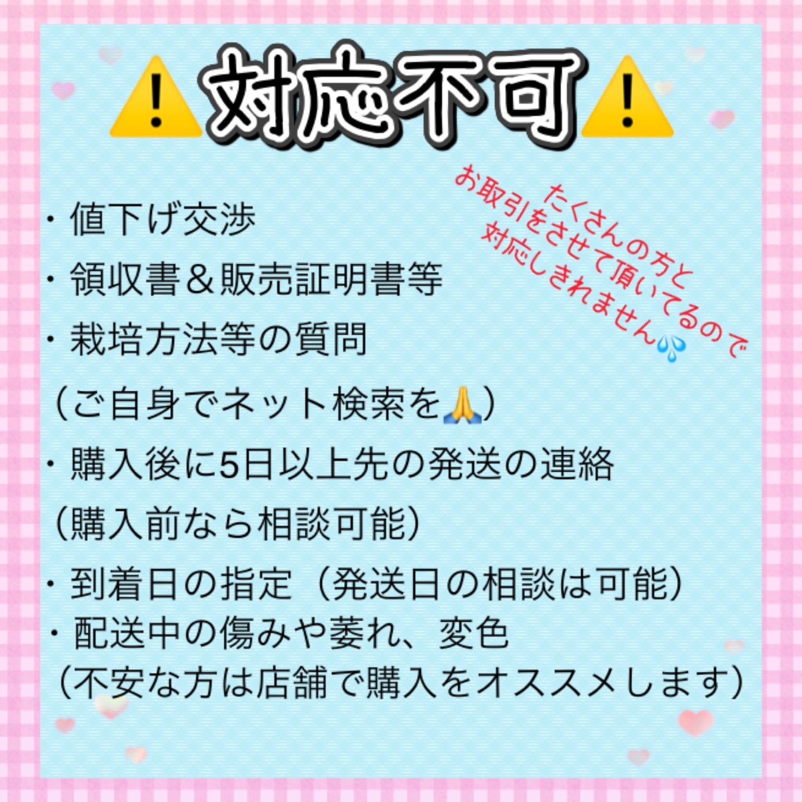 玉レタス×200