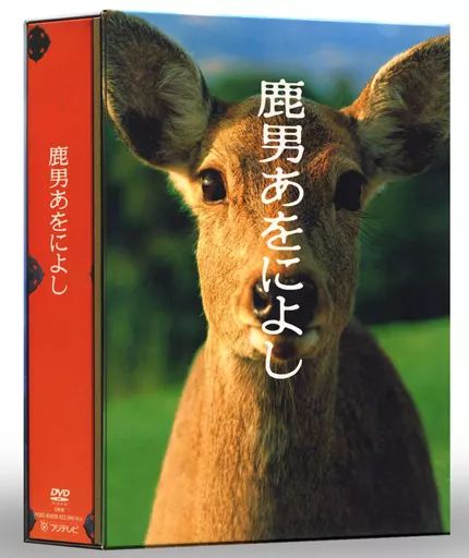 中古】国内TVドラマDVD 鹿男あをによし DVD-BOX [通常版] - メルカリ
