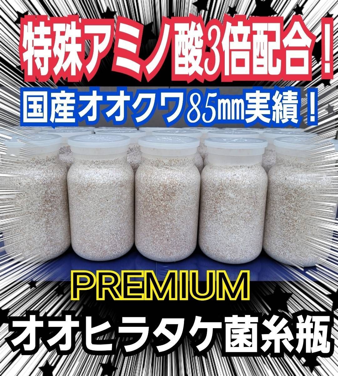 極上！オオヒラタケ 菌糸瓶 【8本セット】1100ml オオクワガタ