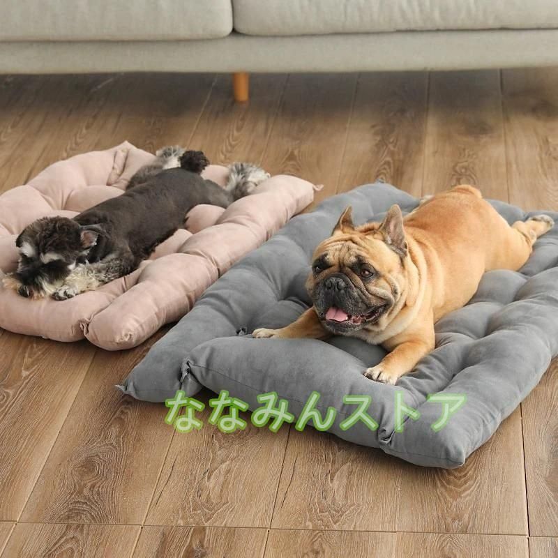 猫 小型