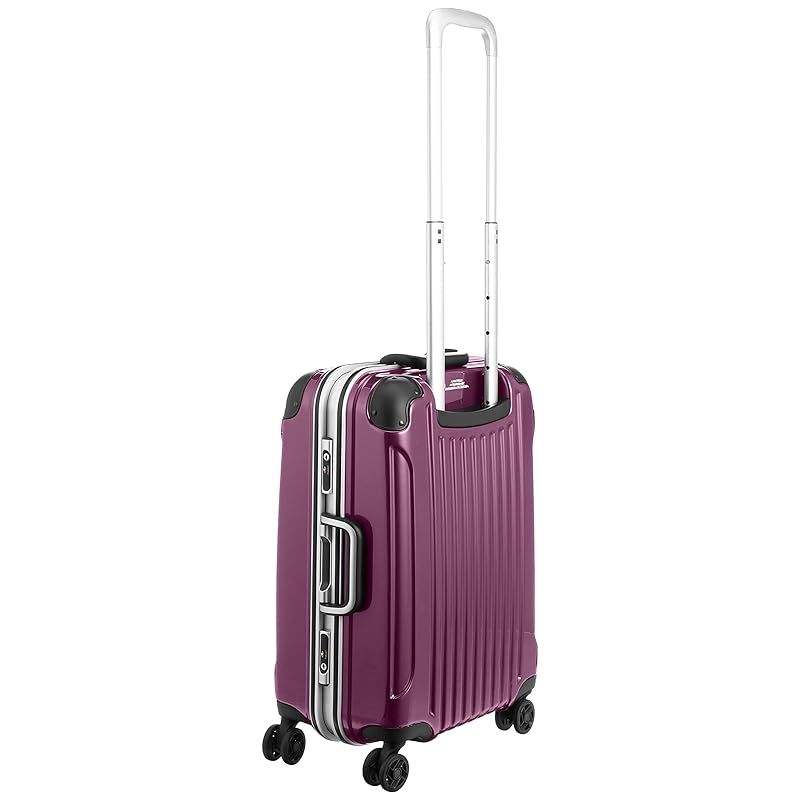 スワニーキャリーバッグLサイズ スワニー キャリーケース クロコダイル