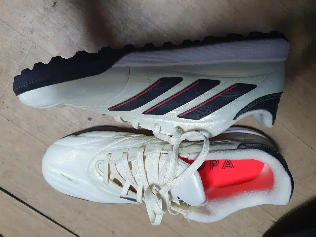 250 ー 256 adidas(アディダス) サッカーシューズ