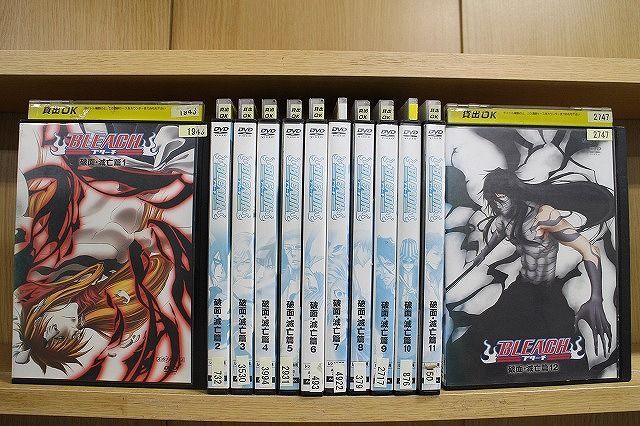 DVD BLEACH ブリーチ 破面・滅亡篇 全12巻 ※ケース無し発送 レンタル落ち ZR2477