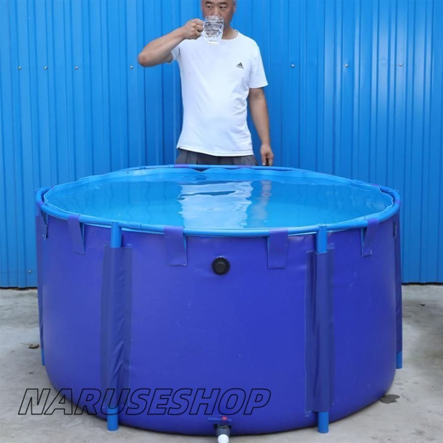 キャンバス の魚のいる池養魚池