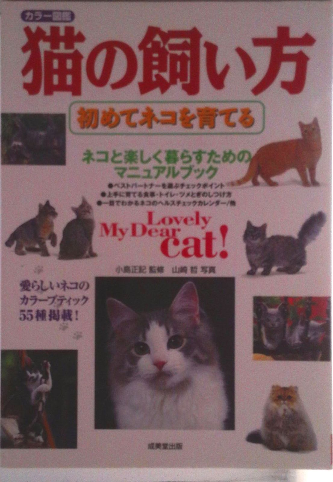 ねこ＊プロフィール必読＊ 猫の飼い方 初めてネコを育てる/成美堂出版/山崎哲（写真家
