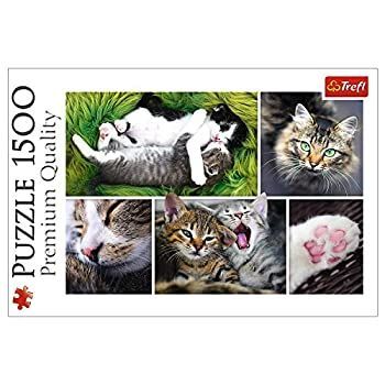 Trefl 1500 Piece Jigsaw Puzzle - Kittens On The Sofa Picture, 85x58 Cm Adult & Teen Puzzle, Family Fun Activity