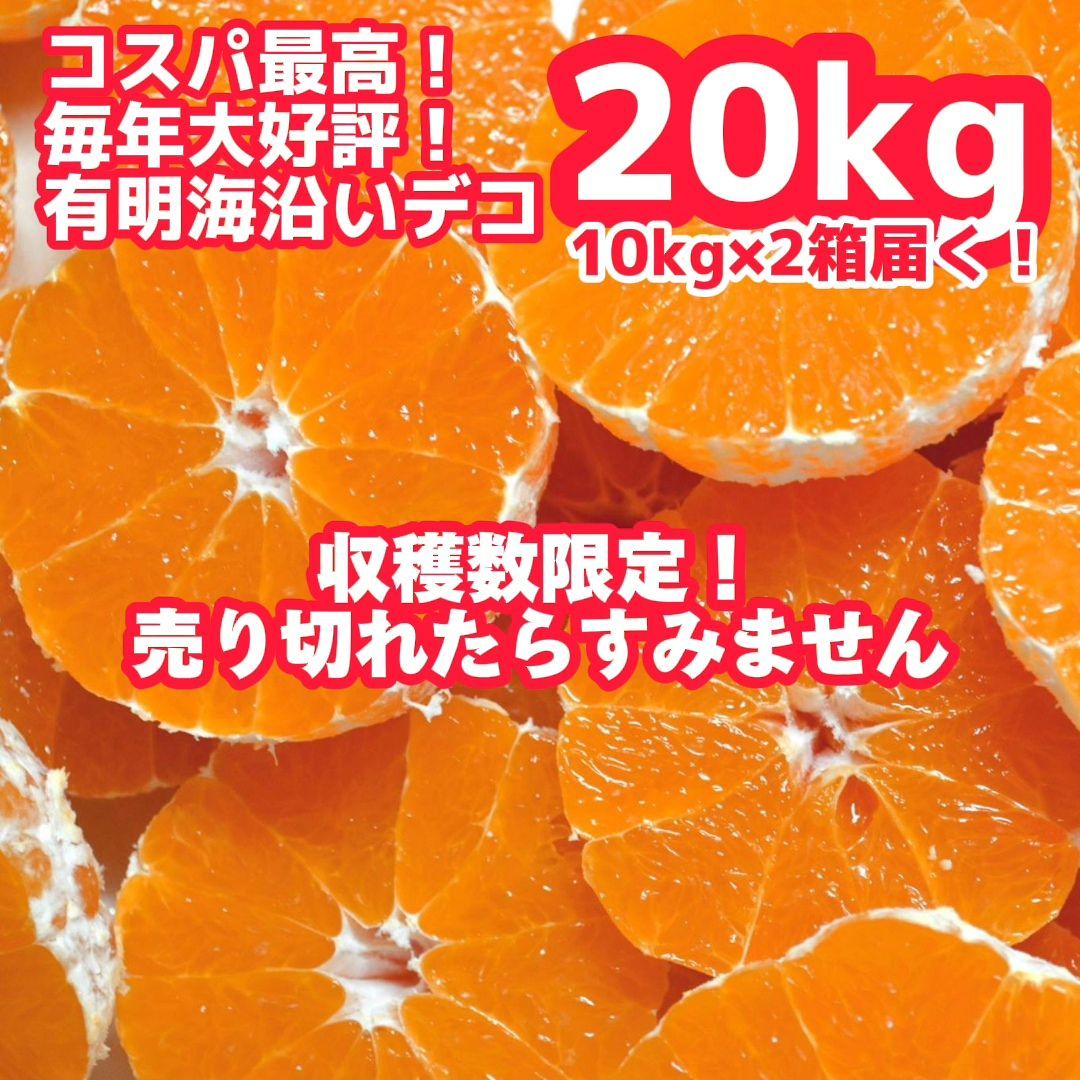 熊本県産 不知火、デコポン 家庭用 20kg - 果物