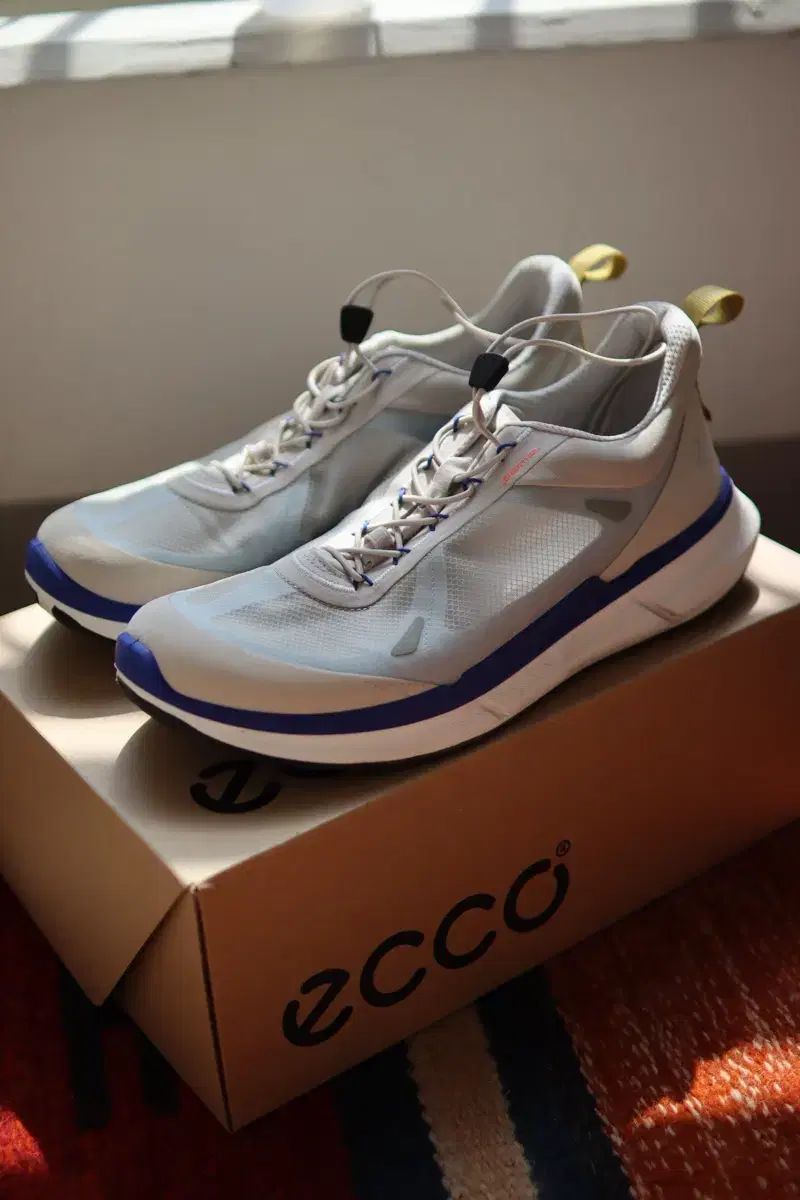 Ecco エコー ECCO ランニングシューズ 270