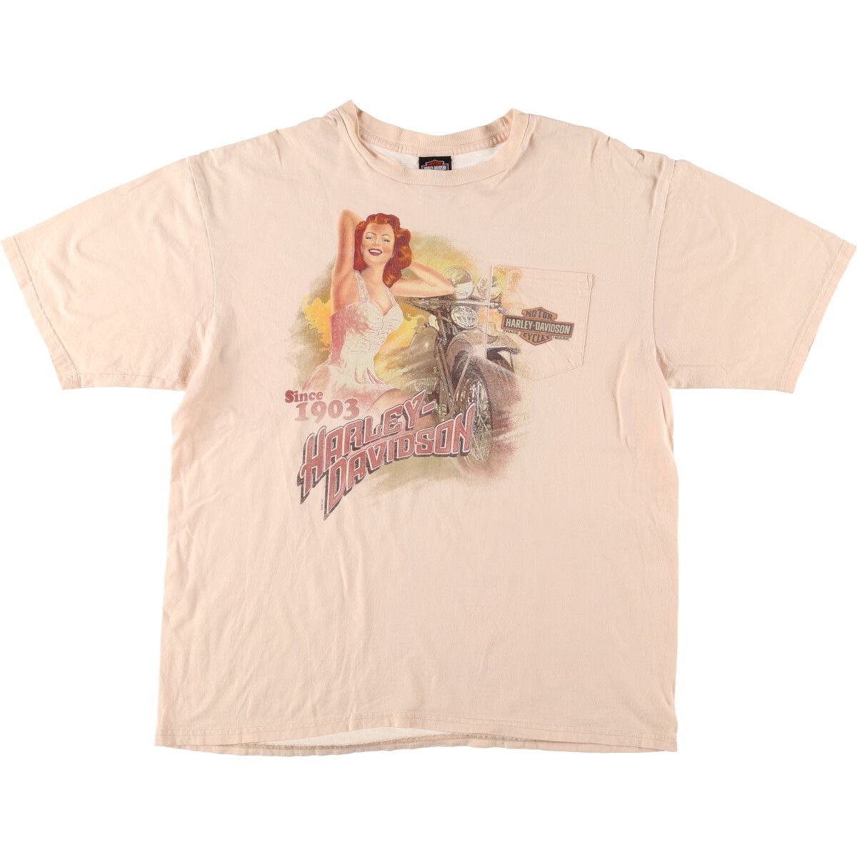 古着 00年代 ハーレーダビッドソン スパンコール付き モーターサイクル バイクTシャツ USA製 レディースXXL相当 /eaa543084 古着 00年代 ハーレーダビッドソン Harley-Davidson
