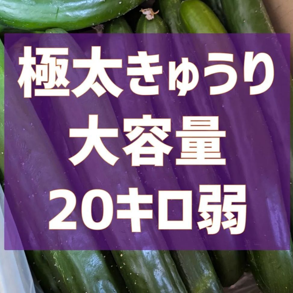訳あり極太きゅうり20kg！野菜ソムリエ銀賞受賞- メルカリ