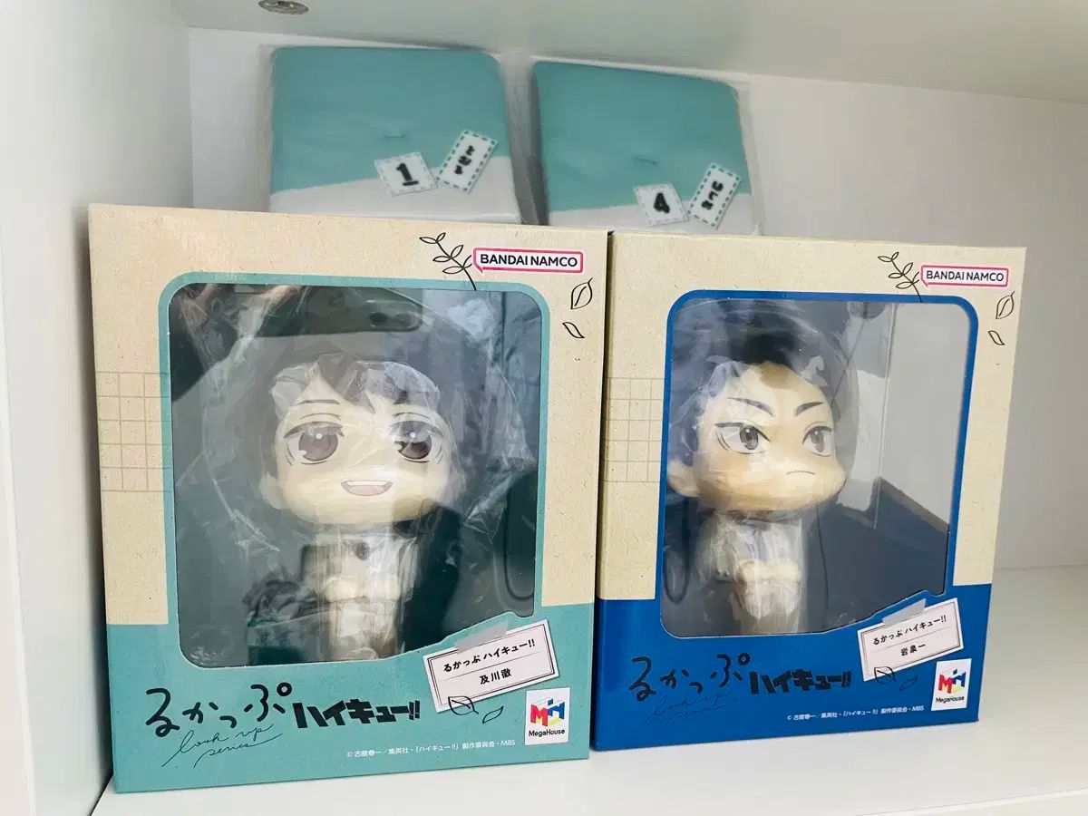 【雷市場（ポンジャン）商品韓国直送】ハイキュー ルックアップ (及川) いわいずみ)