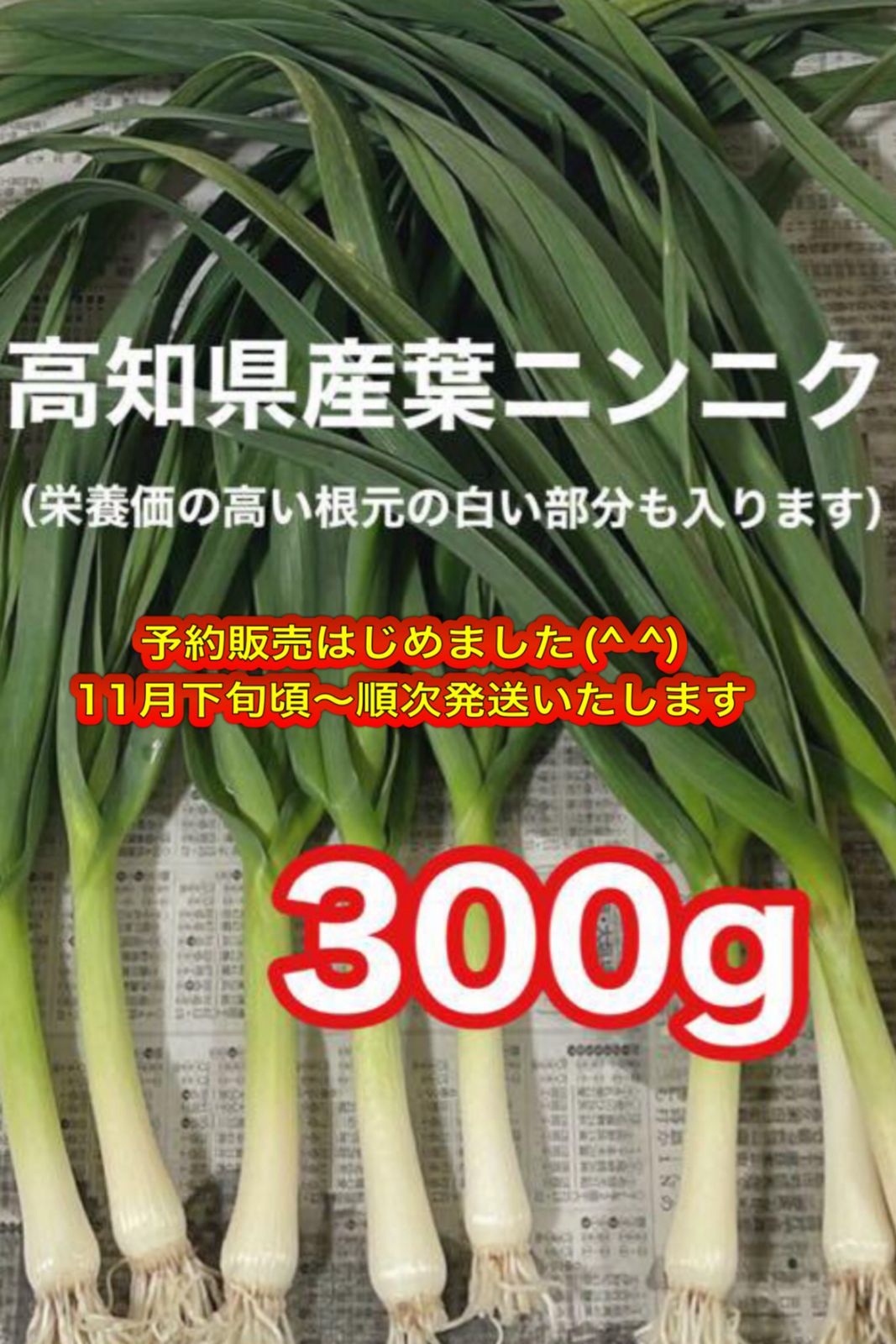 にんにく葉300g - 野菜