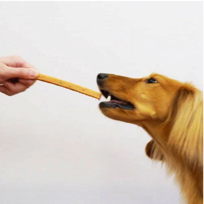 野菜入り