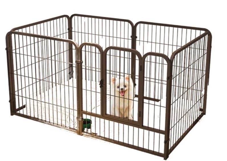 犬 サークル
