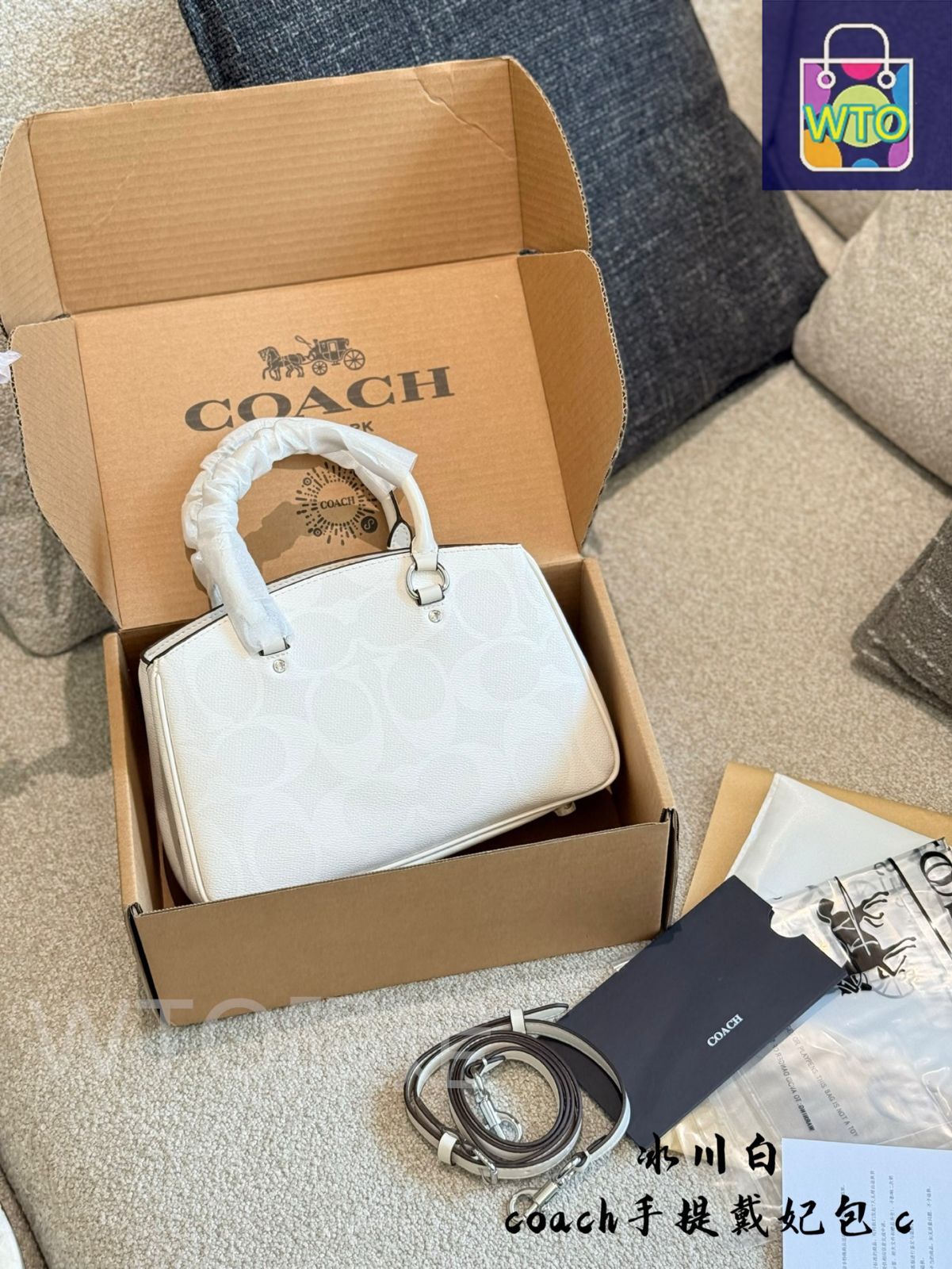 今日 Coach Lady Dior Bag コーチ レディー ディオール バッグ-WTO輸入 DECORATOM_COM_BR