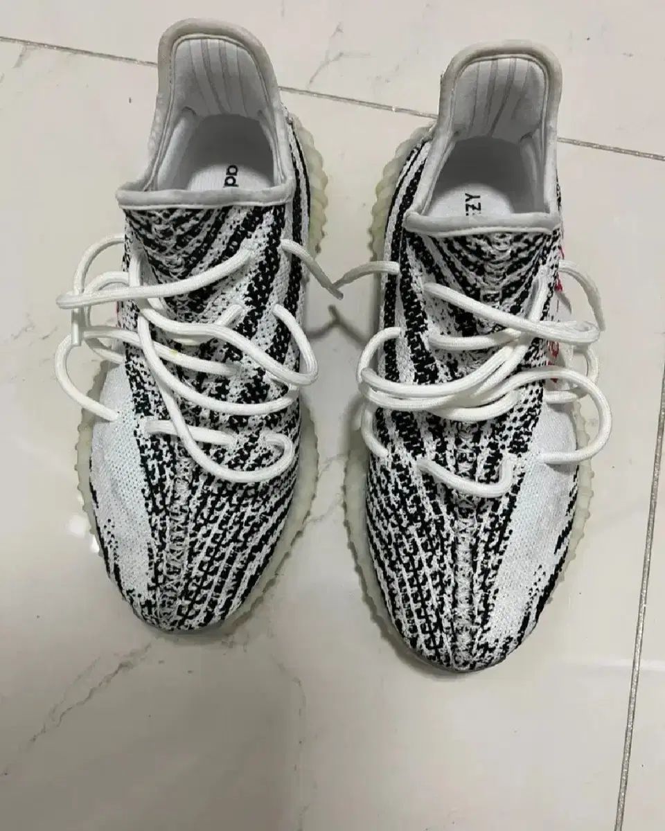 イージーブースト 350v2 ゼブラ