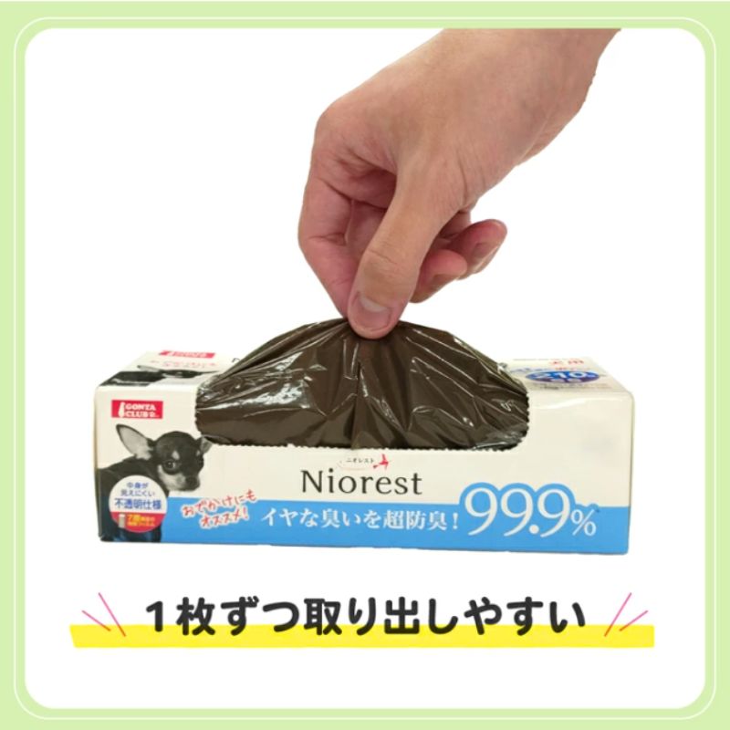 お散歩